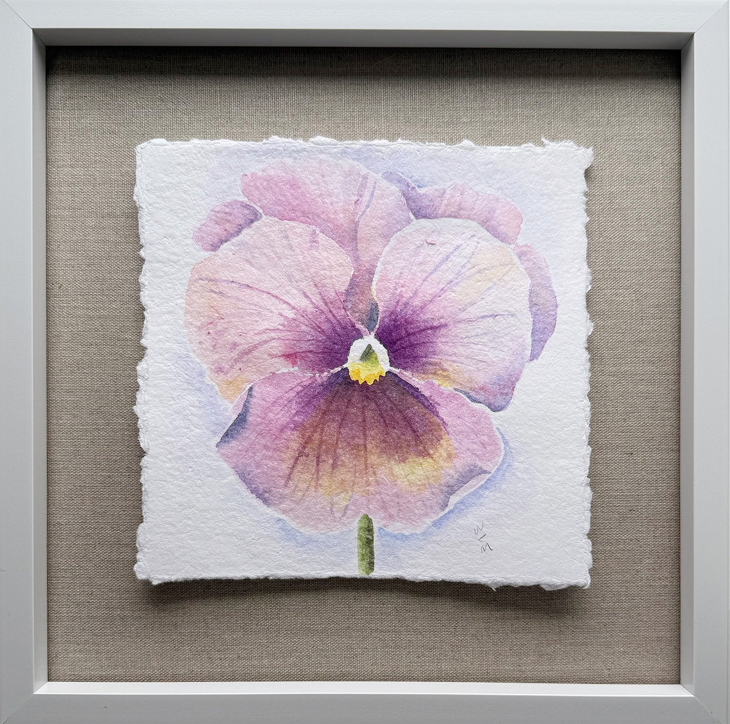 Pansy Series #1