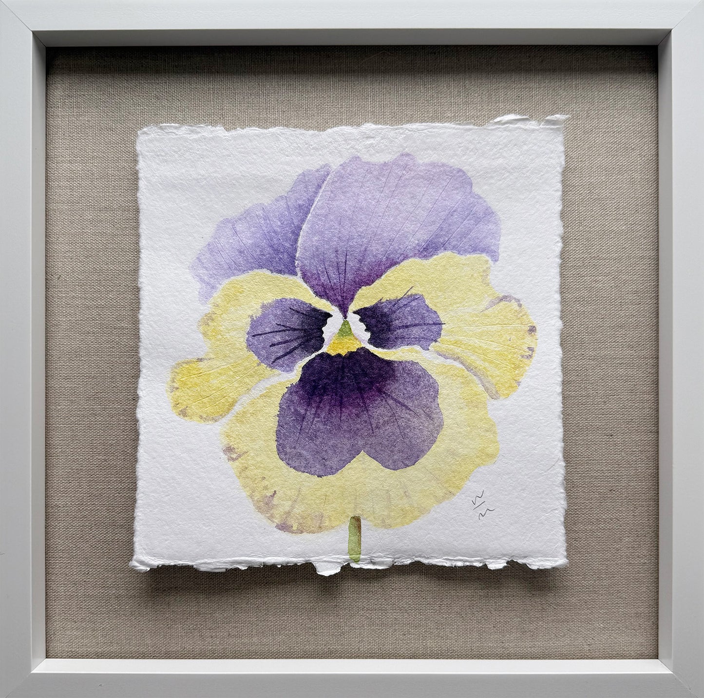 Pansy Series #2