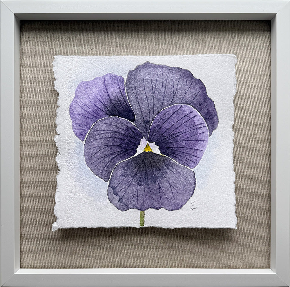 Pansy Series #3