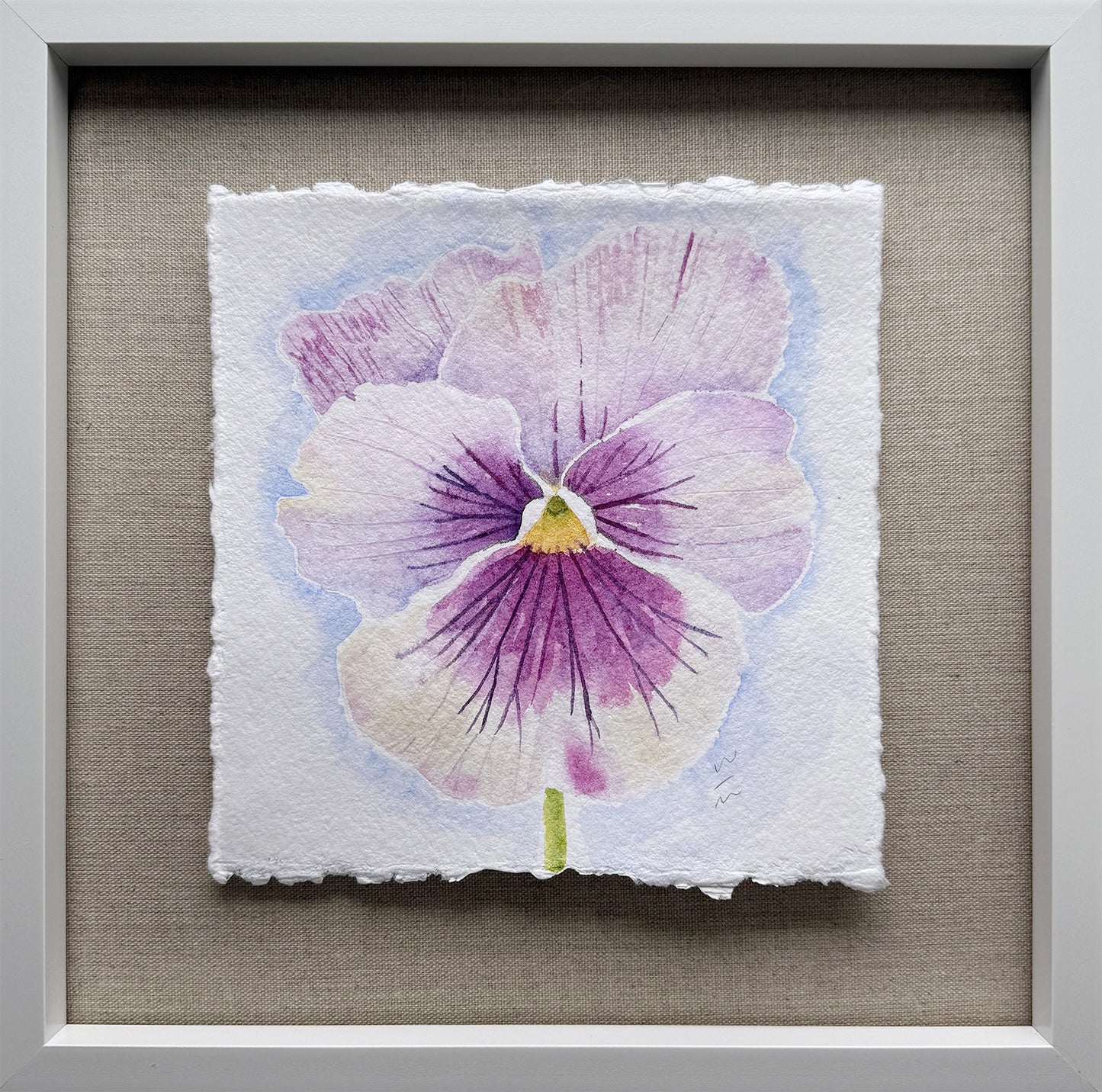 Pansy Series #6
