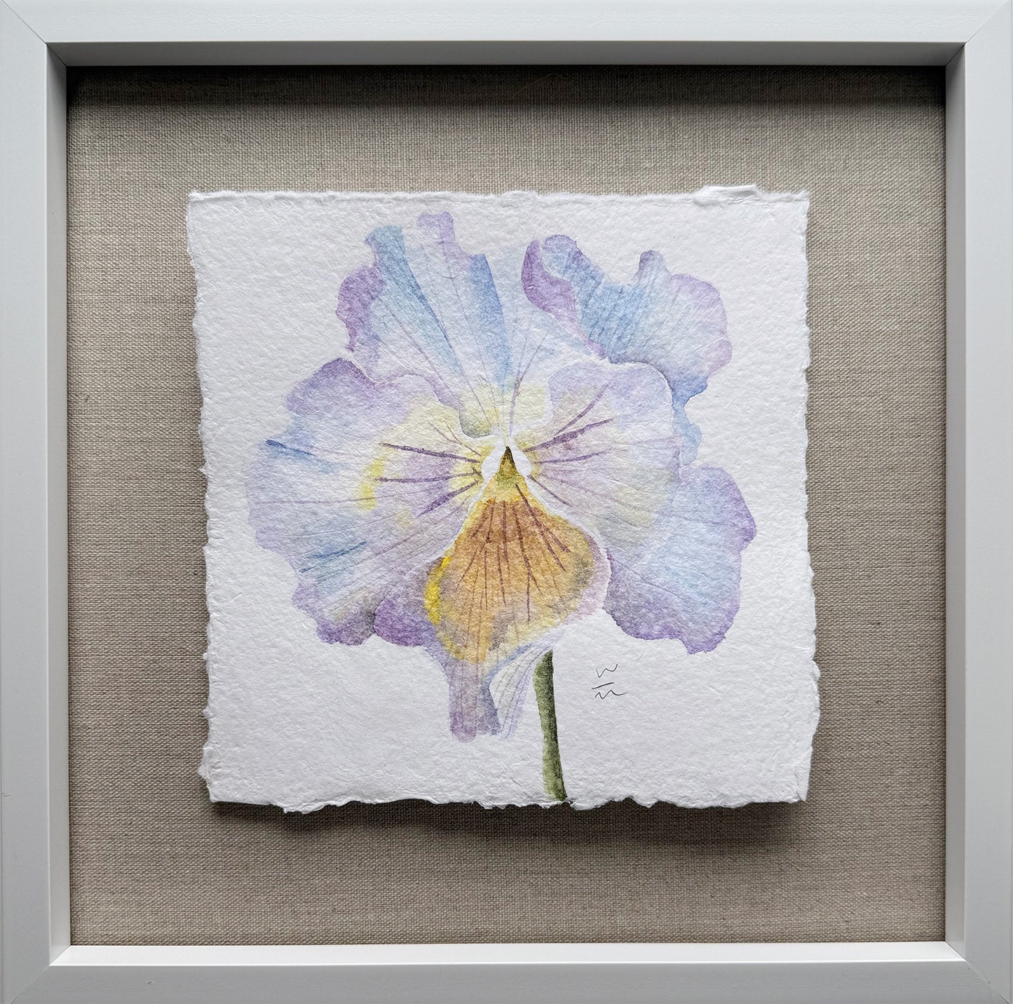 Pansy Series #8