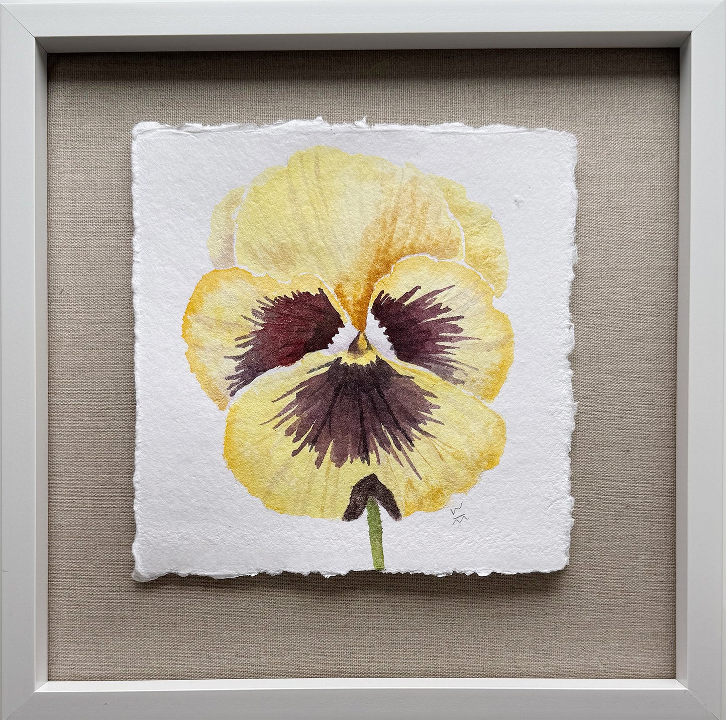 Pansy Series #9
