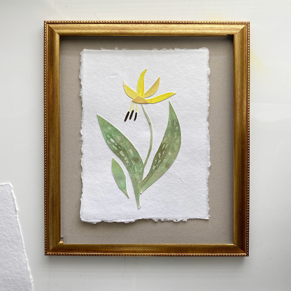 Trout Lily 1 watercolour floral collage