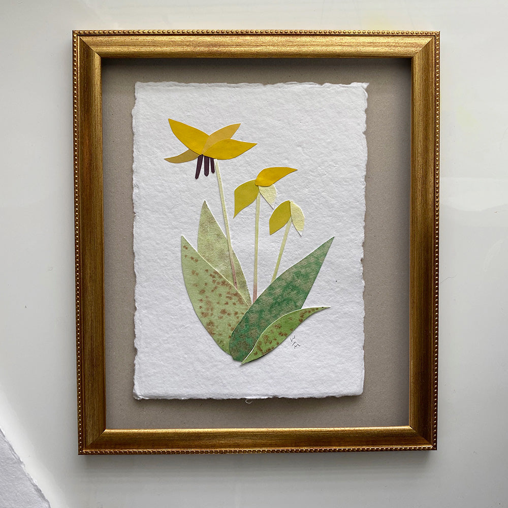 Trout Lily 2 watercolour floral collage