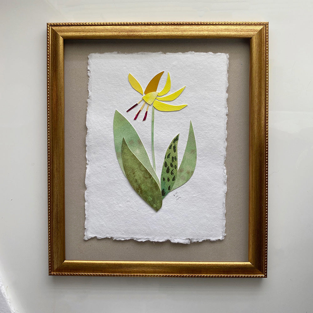 Trout Lily 3 watercolour floral collage