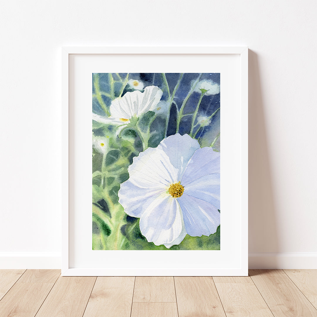Limestone Cosmos