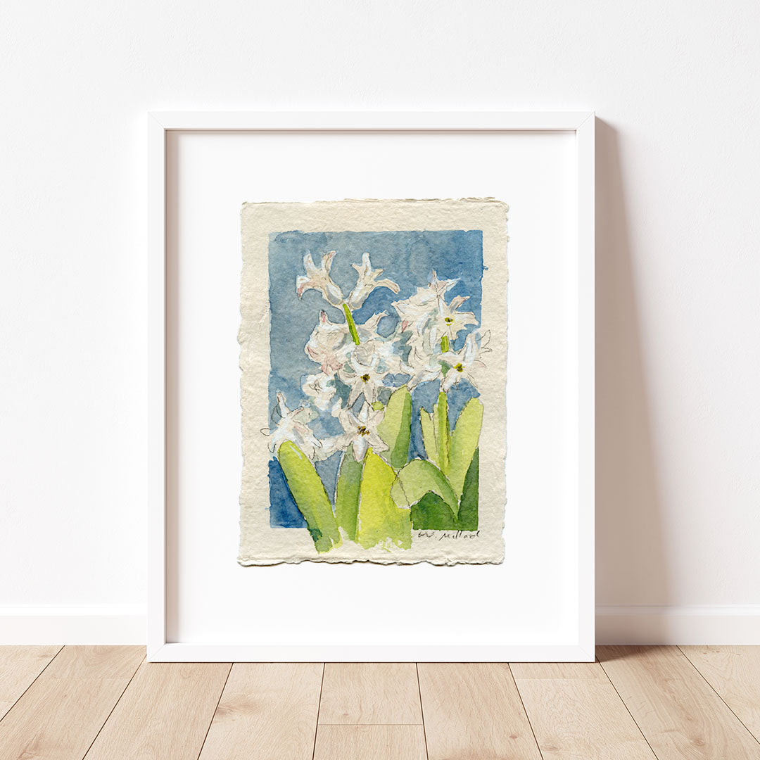 Hyacinth 3