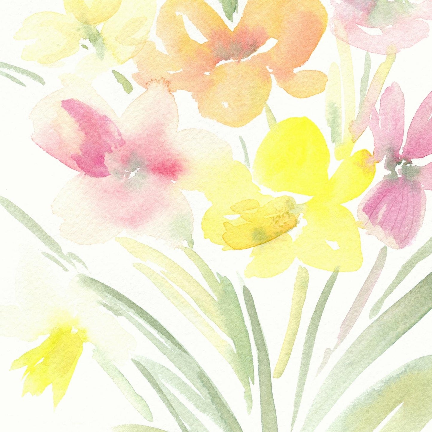 Tulip Joy Print