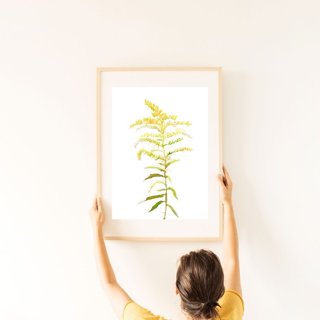 Goldenrod Floral Print