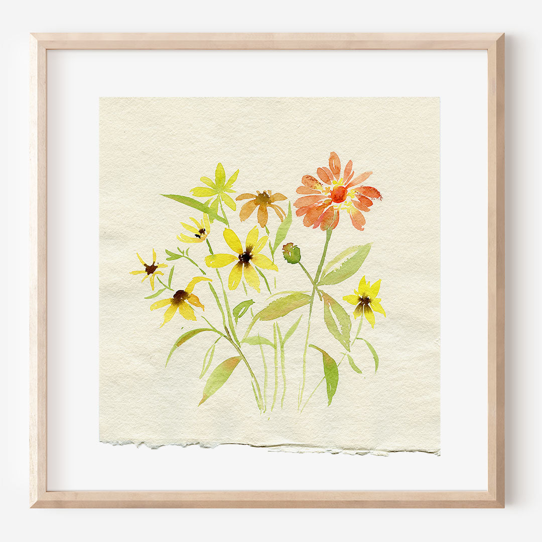 Flourish 6 Black eyed Susans and Zinnias