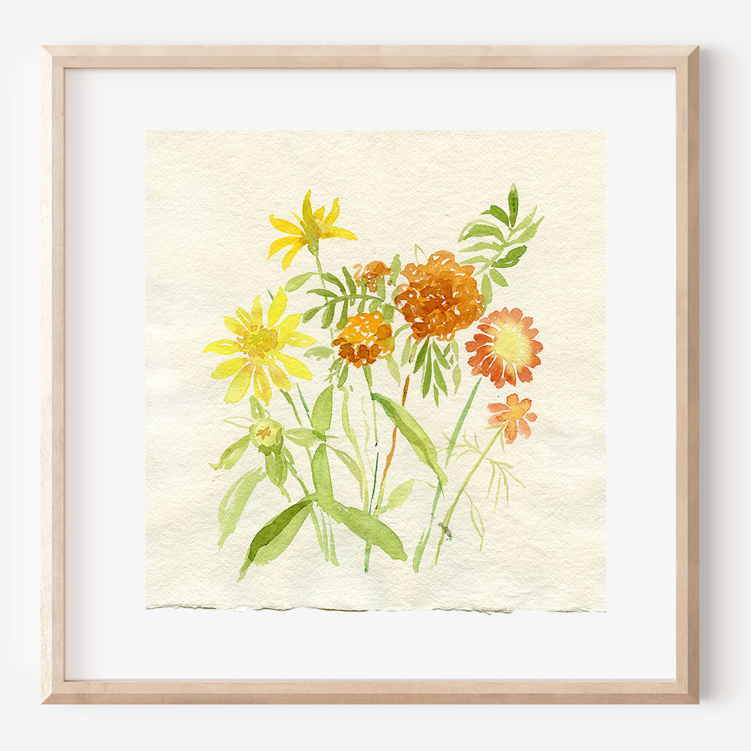 August Marigold Flourish