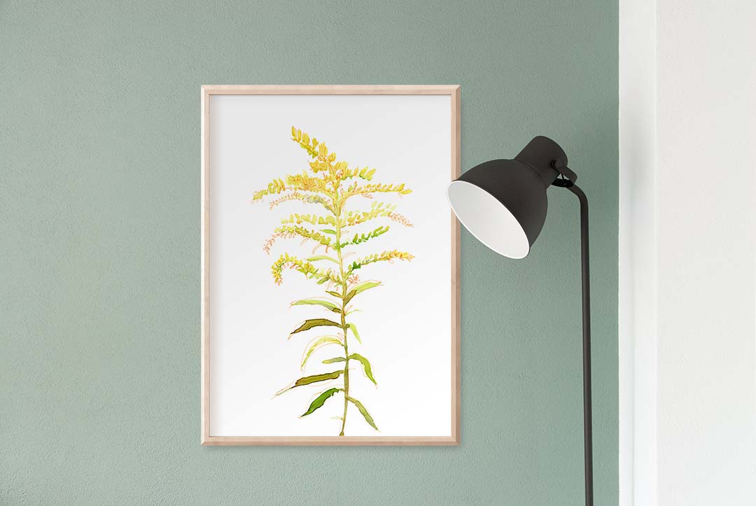 Goldenrod Floral Print
