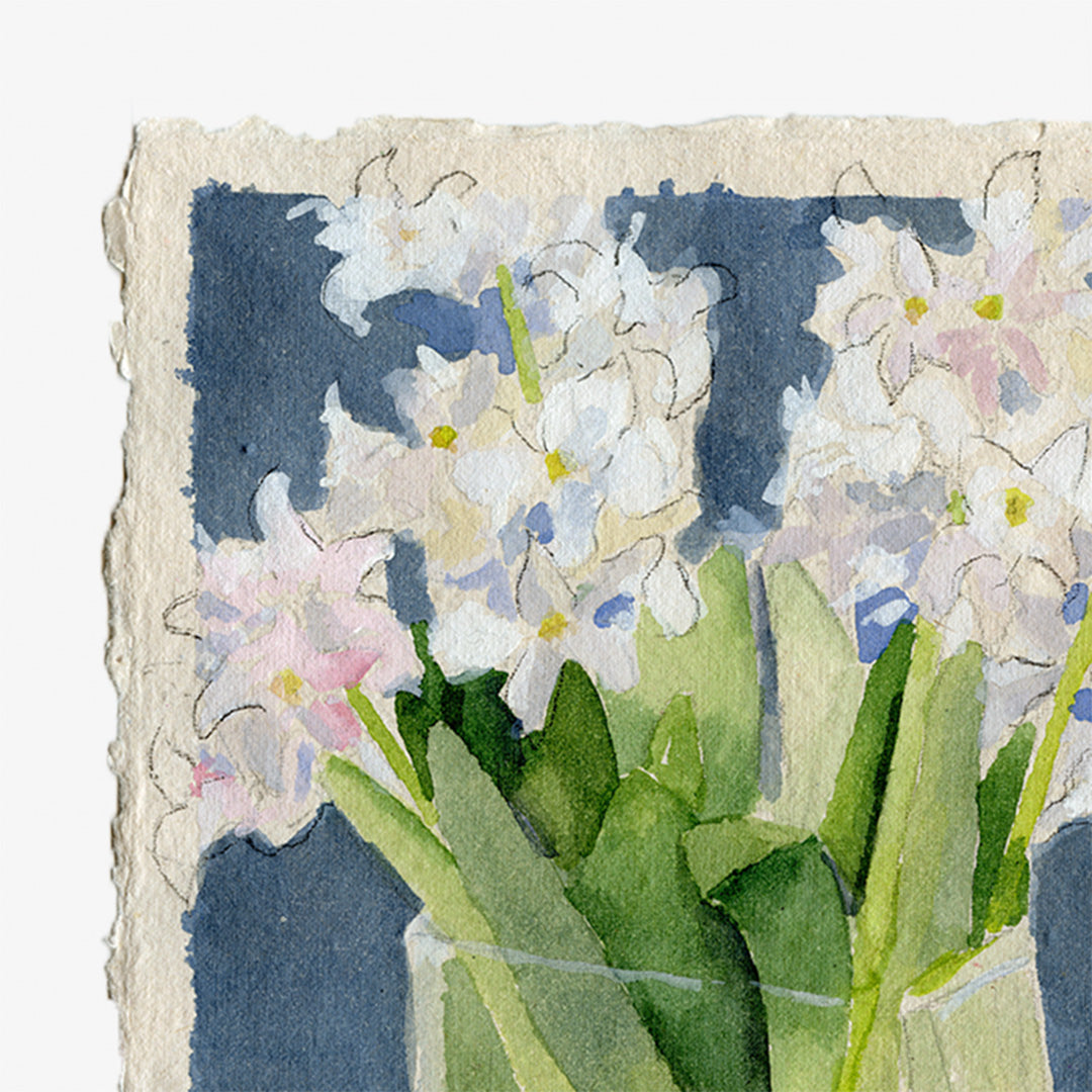 Hyacinth 2 - Spring Forward