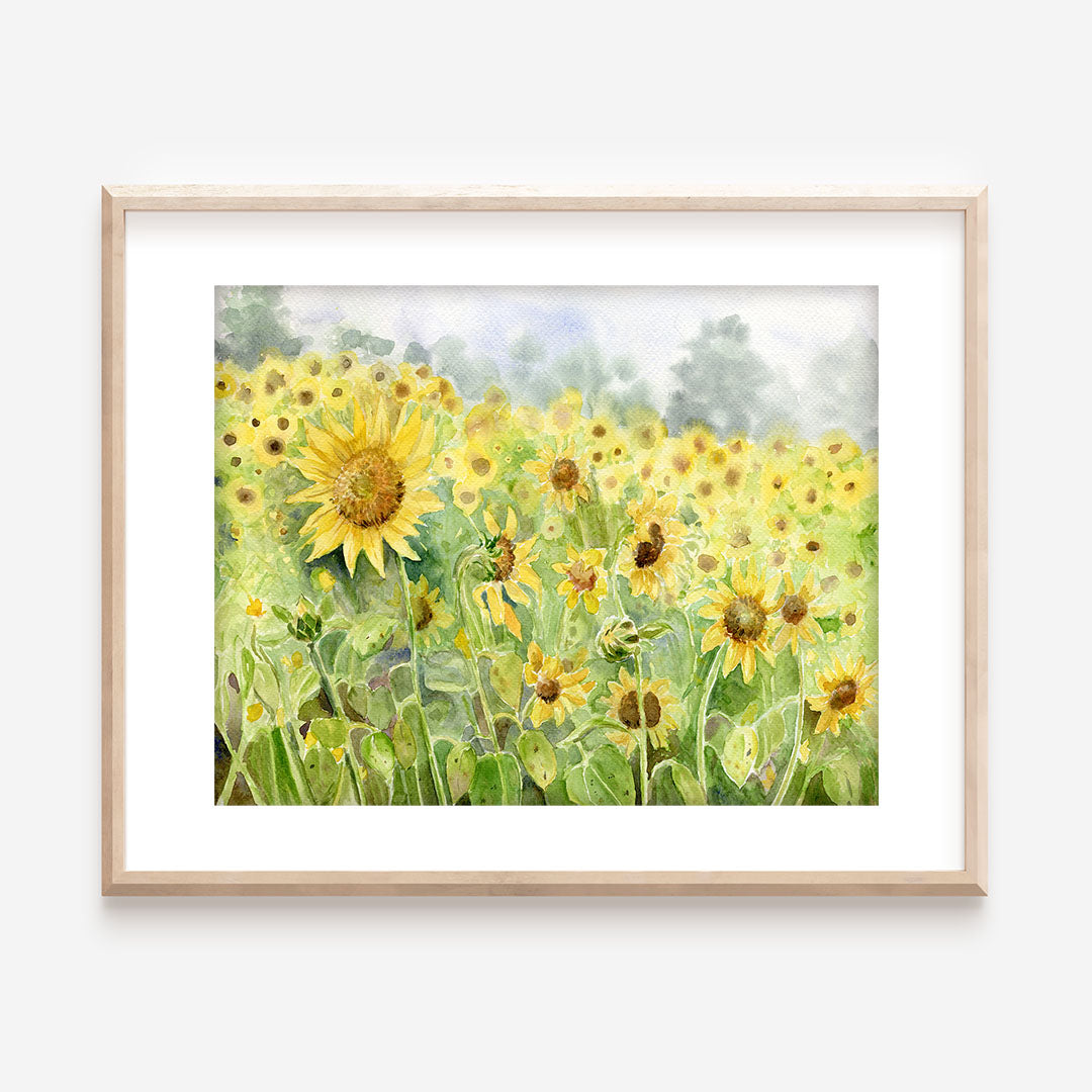 Sunflower Field Print