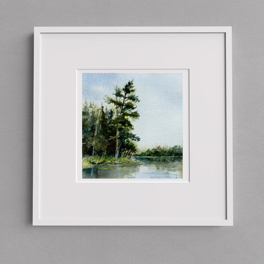 Elbow Lake Pine 6" x 6" on watercolour paper