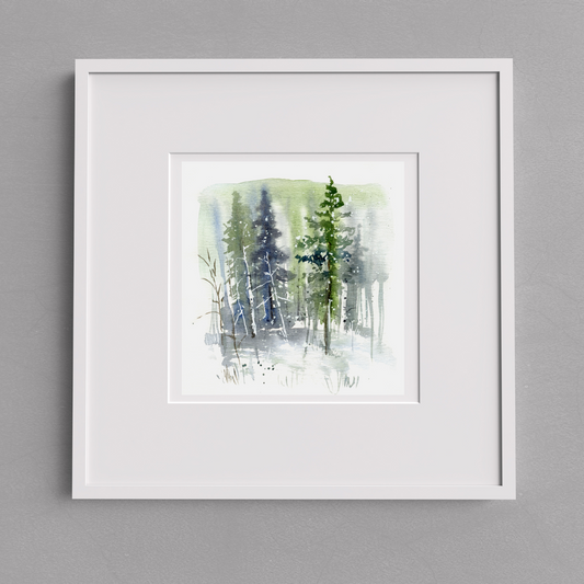 Evergreen 6" x 6" on handmade watercolour paper