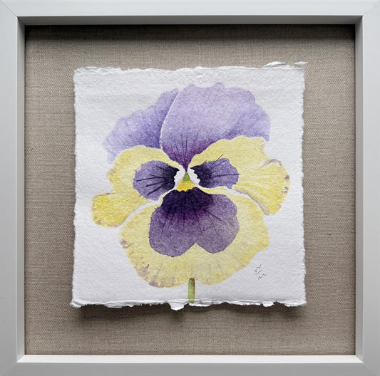 Pansy Series #2