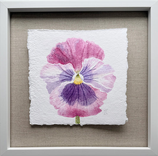 Pansy Series #4