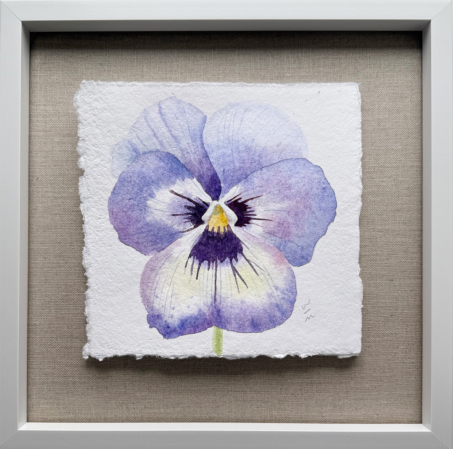 Pansy Series #7