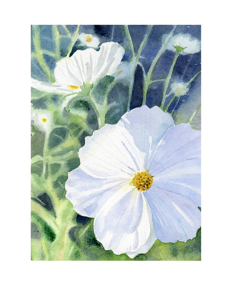 Limestone Cosmos
