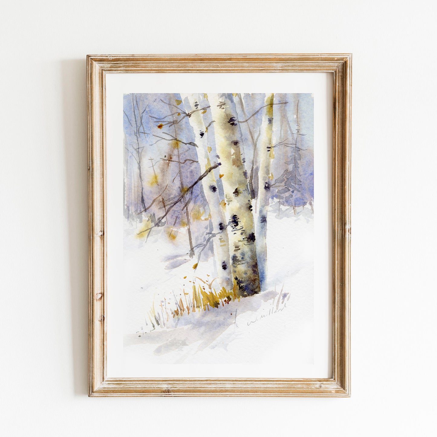 Birch Trees in Winter Field