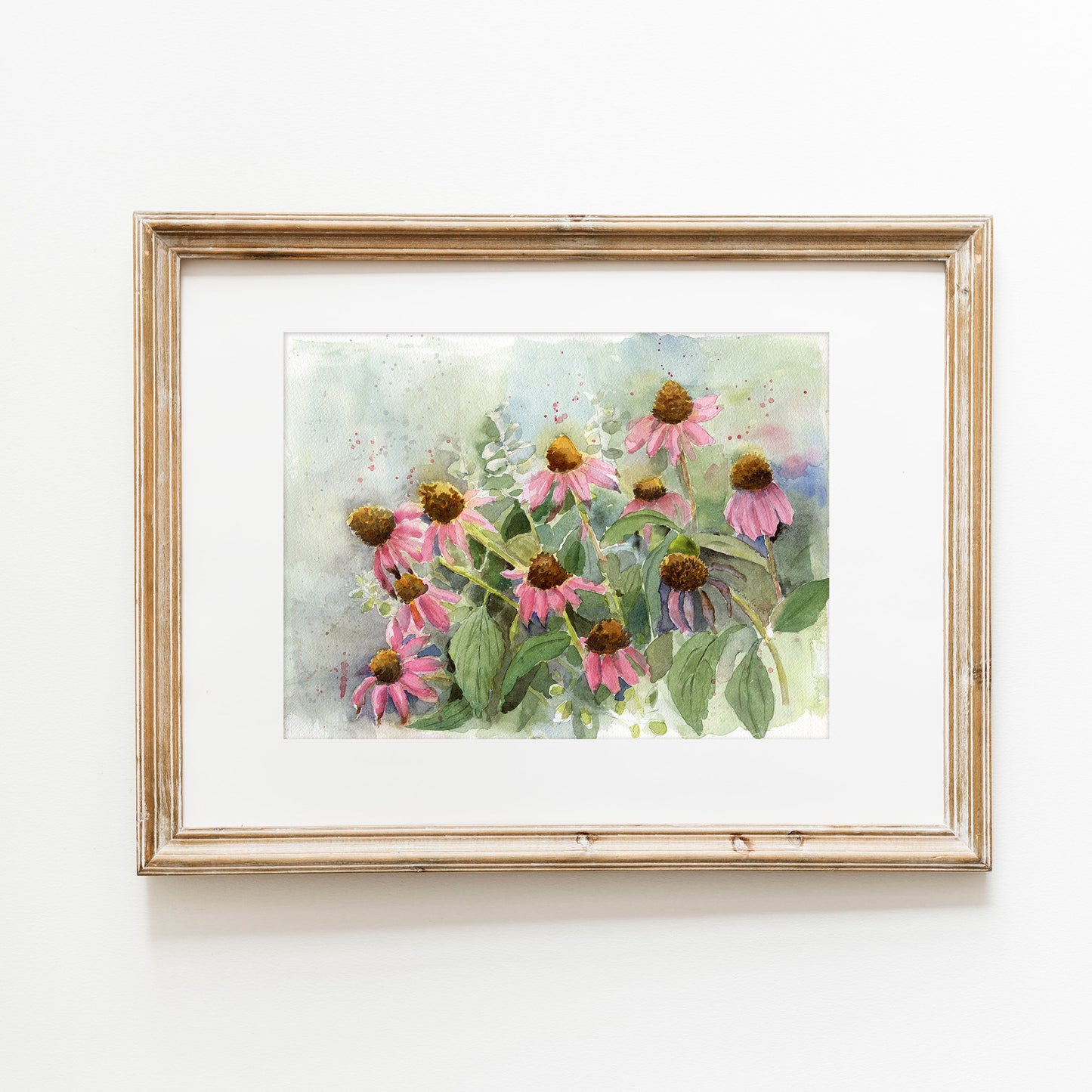 Cone Flower Garden