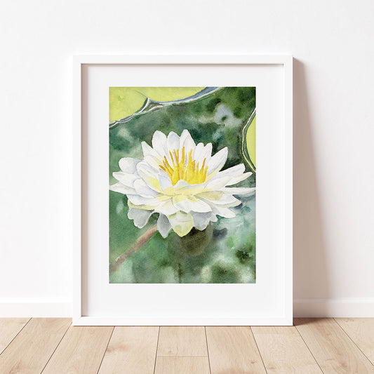 Little Long Lake Water Lily
