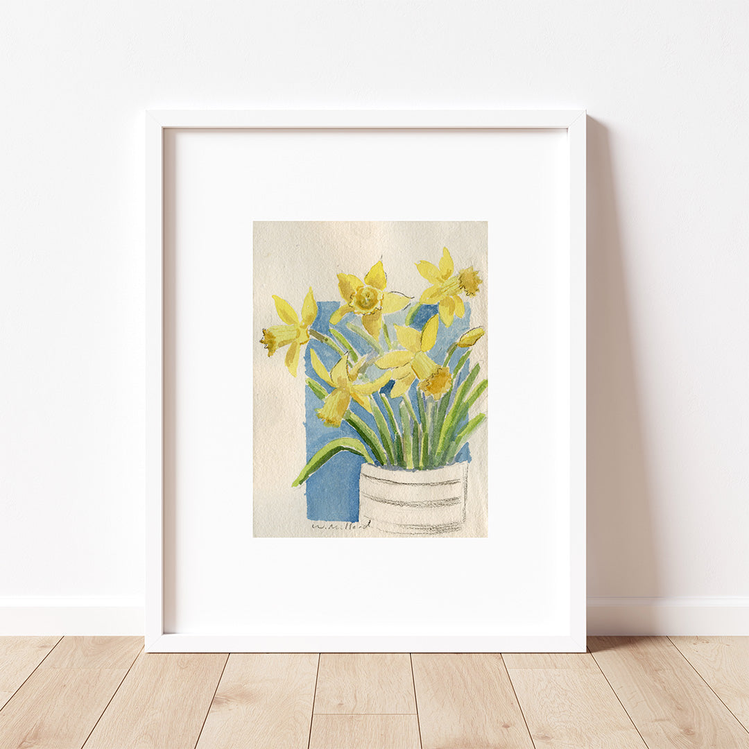 Daffodil 5