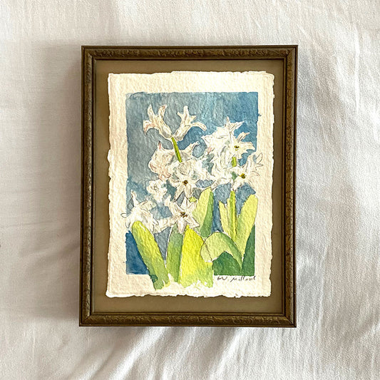 Hyacinth 3